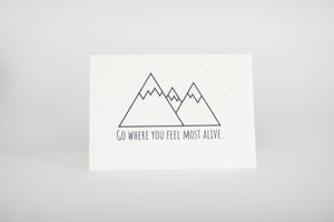 Seeded Greeting Cards - 10 Pack Assorted
