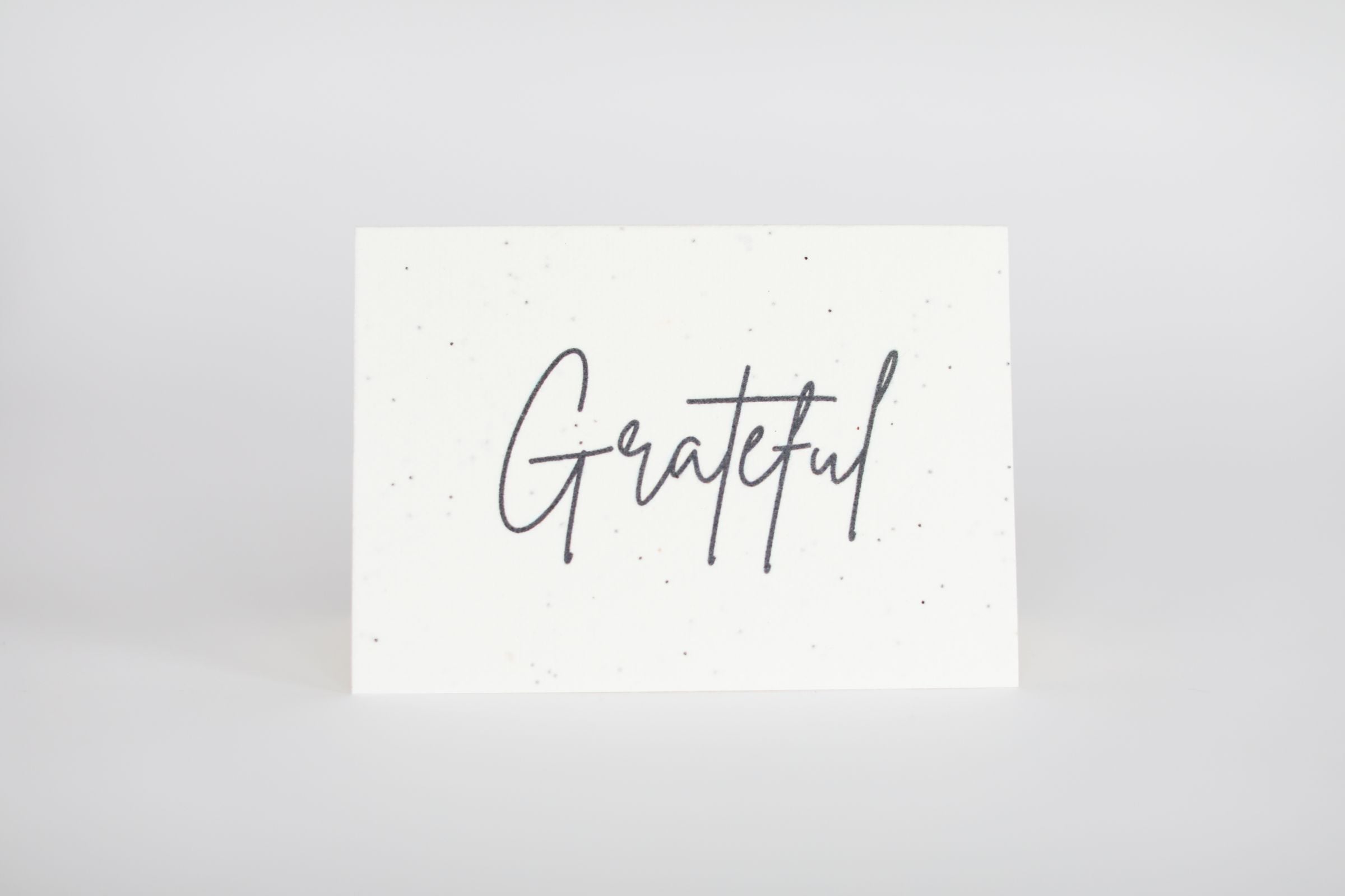 Seeded Greeting Cards - 10 Pack Assorted