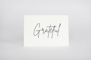Seeded Greeting Cards - 10 Pack Assorted