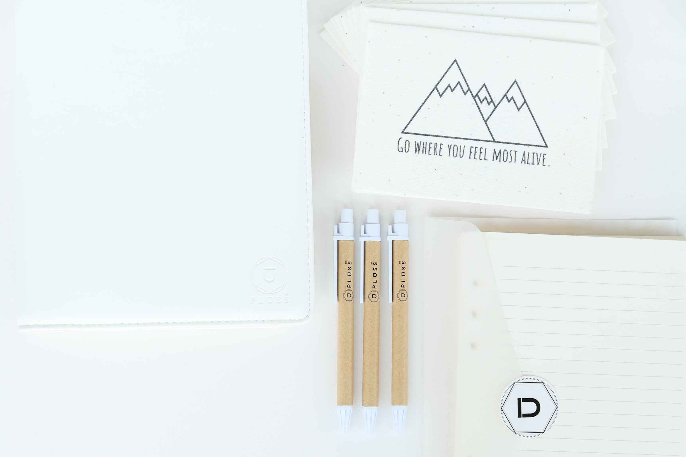 Stationary Bundle