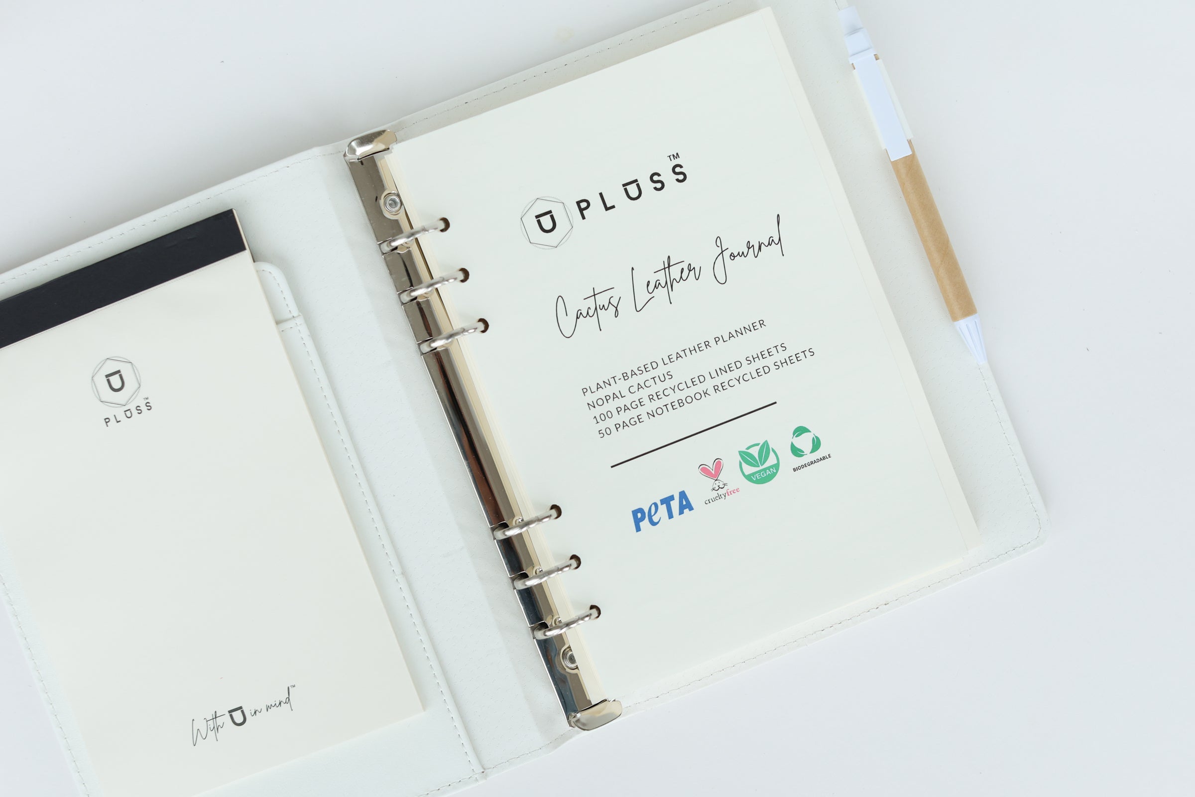 Stationary Bundle